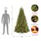 7 ft. Pre-lit North Valley Spruce Full Artificial Christmas Tree, Multicolor Lights